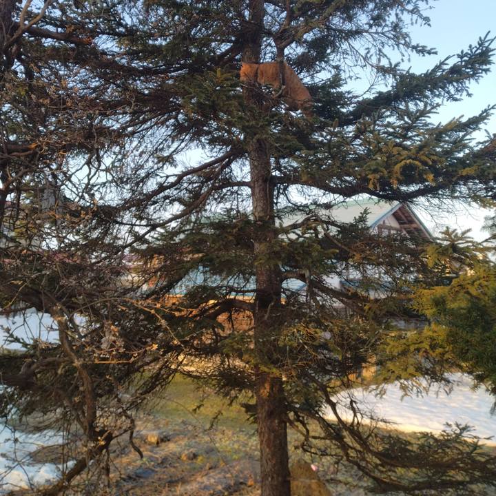 Fb0e9f91 c84a 45bc b2f0 f4fbf6912358 1678487703858