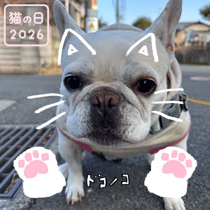 Fb0ea04e 4b1b 442b a7e0 a915dd0eefc6 1771758052832