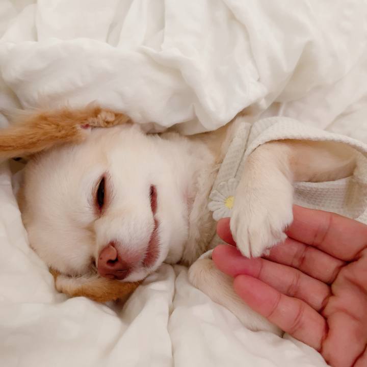 Fb0eee56 e08b 40a3 a607 ffc33834e7b6 1722335102277