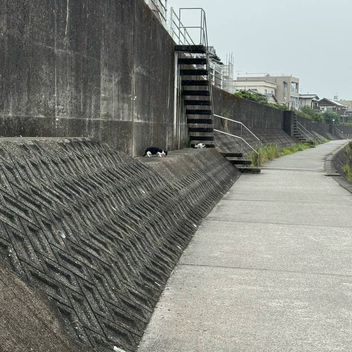 Fb0f123c f246 40f4 9e4d 97704b719ecd 1721309227662