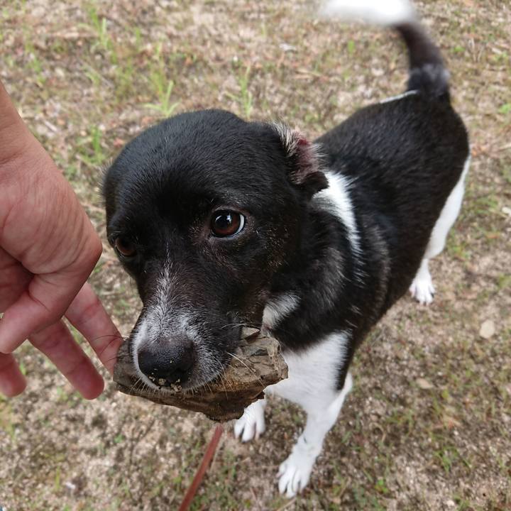 Fb0f2996 ad5c 4fff 8b6b 06eef5b967b3 1535670234197