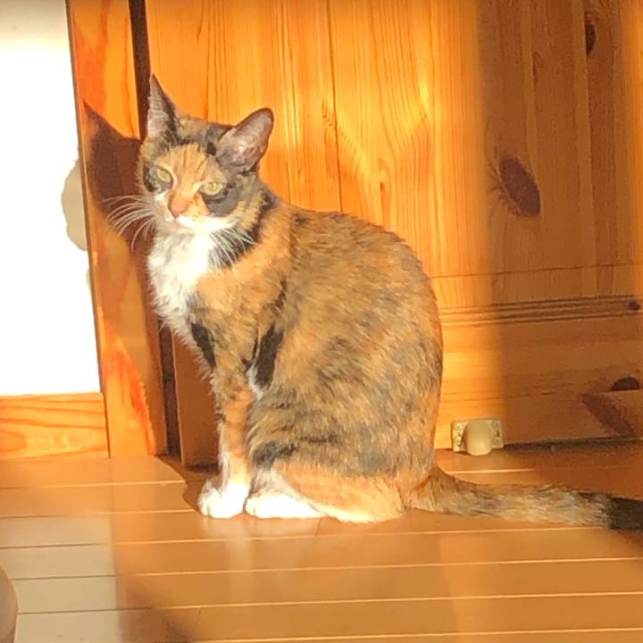 Fb0f475e a7e1 439c 8e6e a4a93e865c68 1605573765311