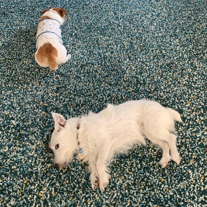 Fb0f8301 7f9a 4c43 925e 07886717fd85 1631515307402