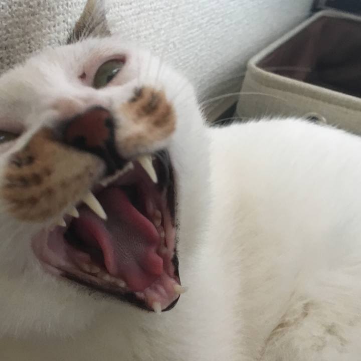 Fb0ff8a8 b9ab 43c1 9cad b0f7e8cba74b 1563625245117