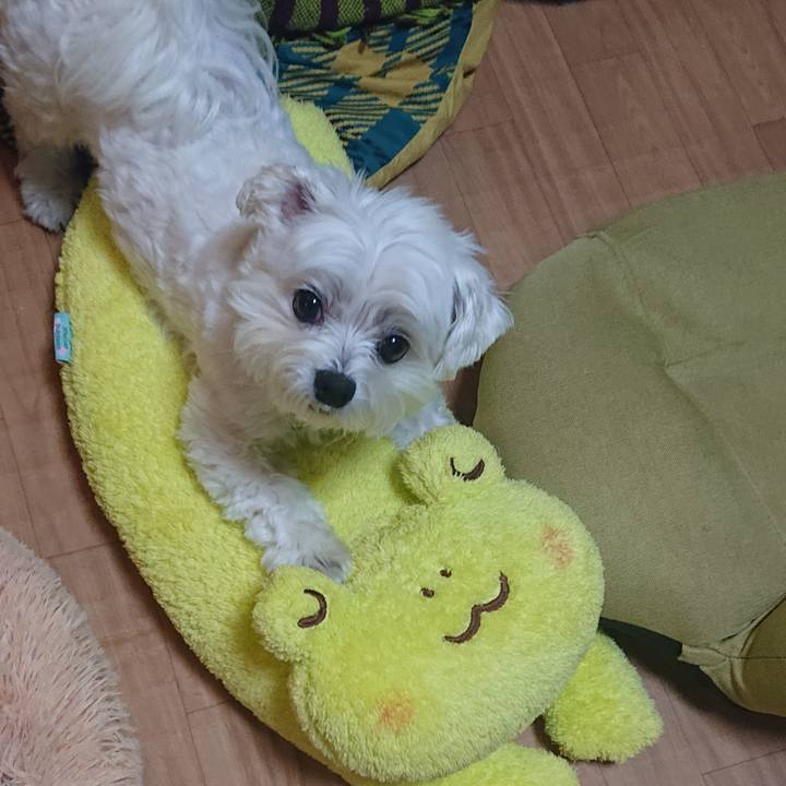 Fb10073d b79a 4ddd b7f2 bca53c36ad93 1606548997018