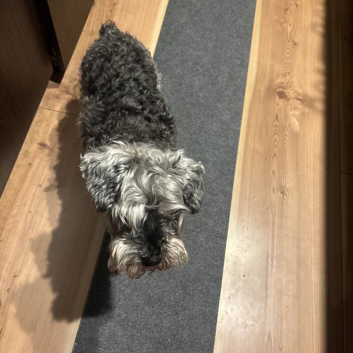 Fb101db5 7c38 4394 be55 2c7e5703010c 1772357916540