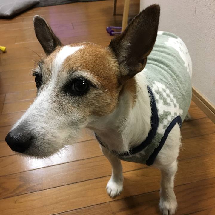 Fb1034d3 08d0 4d1b 8b3a 6443cf14cfe2 1603236355763