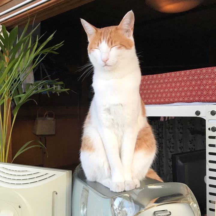 Fb105b28 9875 47c2 964f d09f8370f06b 1512127430558