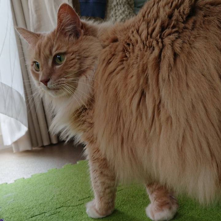 Fb109a6d a803 4e3e 871d 626aaf6b3a13 1559006499062