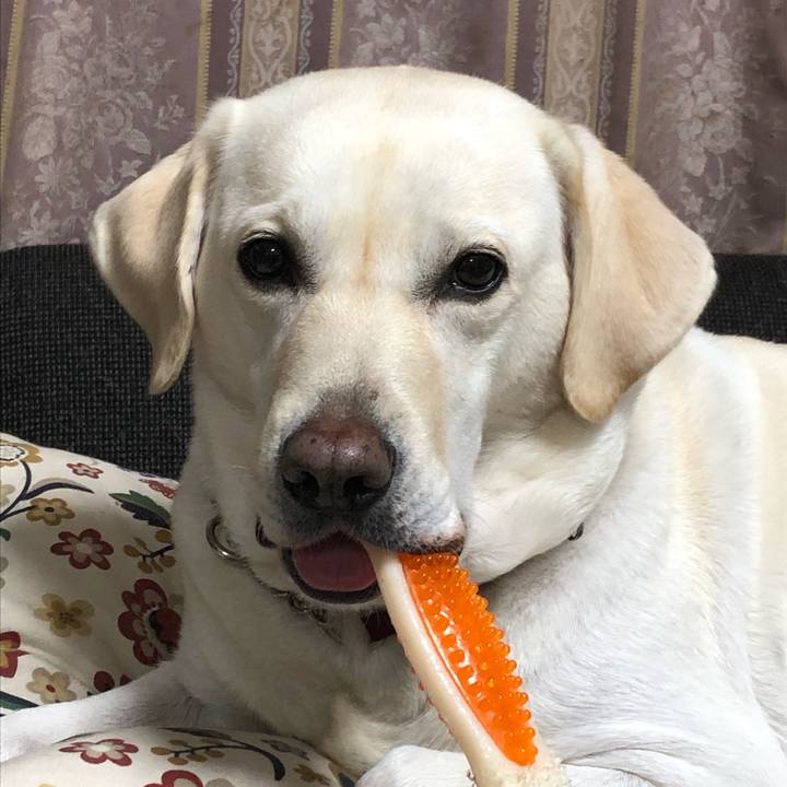 Fb10cf02 6369 41a7 804d ba7ade23dd31 1574418357659