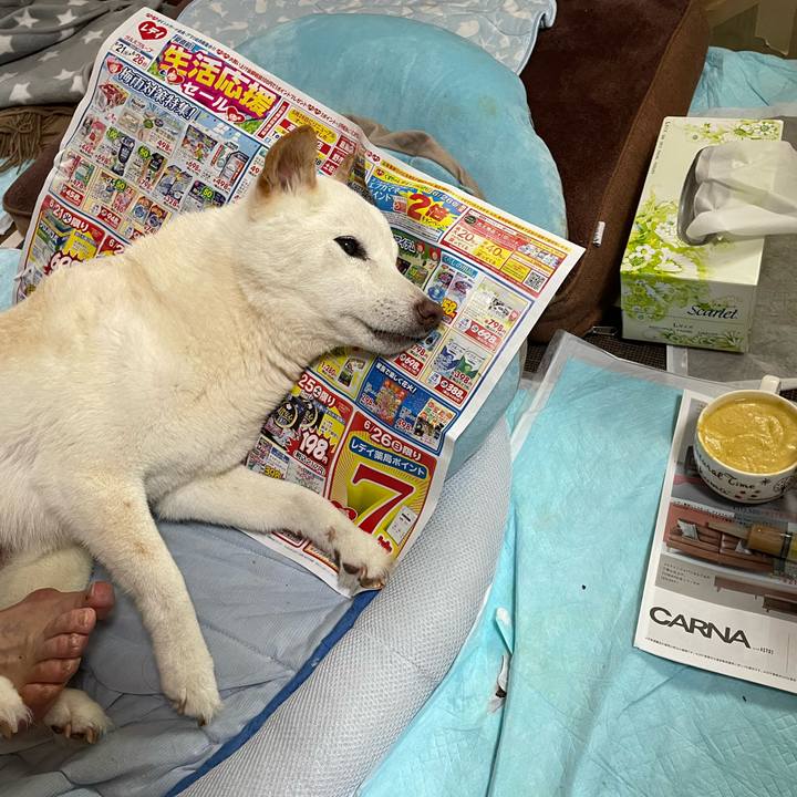 Fb1107f6 eec9 44ab b8e6 7f0a70f5b575 1656047804811