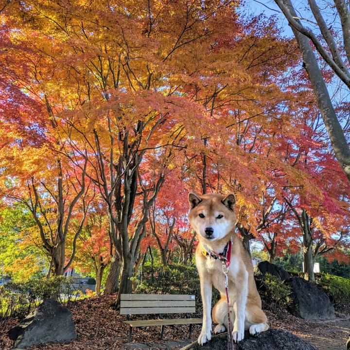 Fb1110bc 8426 49f2 8ca7 60393cff161f 1733480960360