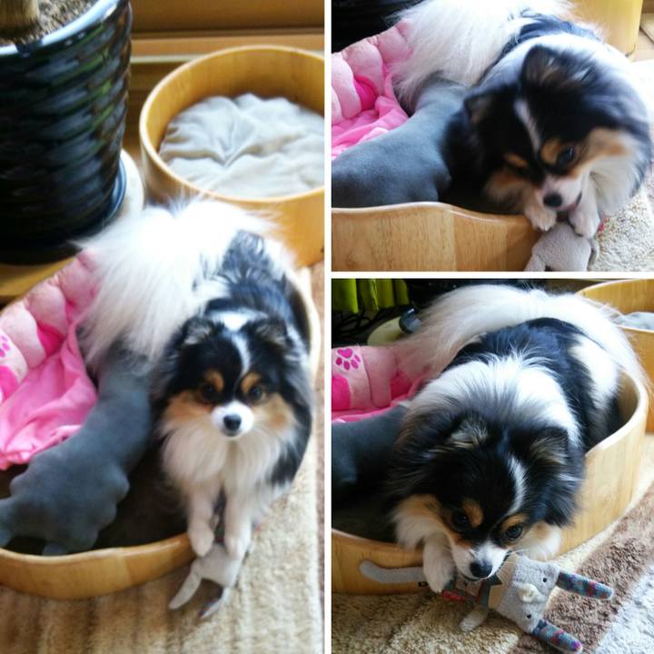 Fb111ab5 af7e 4b90 b3d7 cae0e6e6748f 1513472281745