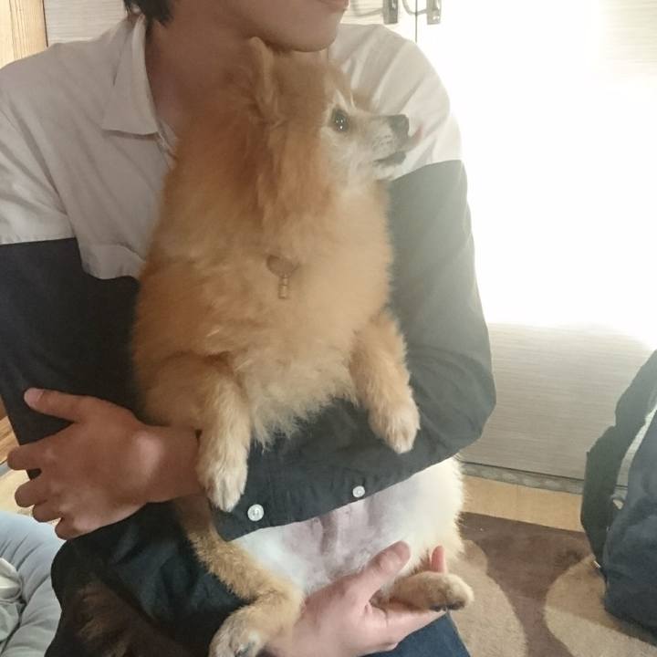 Fb112189 6260 4eb2 8d7b 847cd5dce716 1533941870786