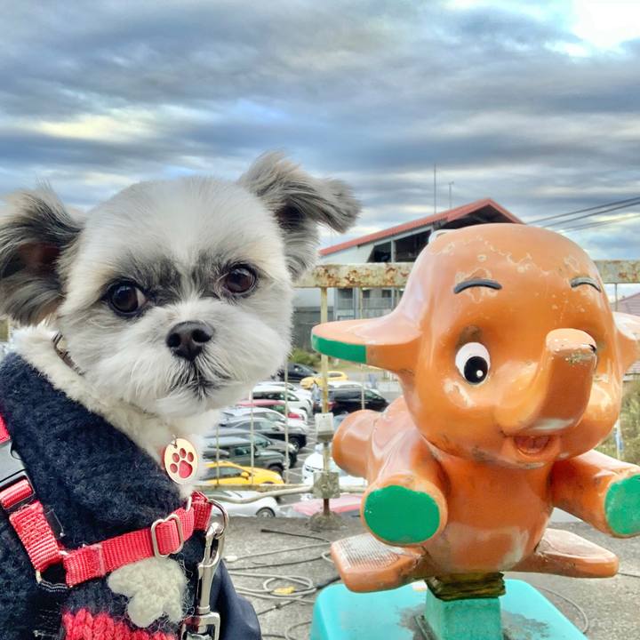 Fb1140ad 6551 491c b174 f97fce4c6d79 1606275885141