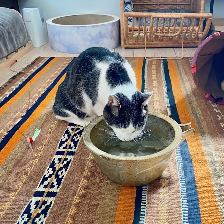 Fb114b6e ebbd 424f bfbb 55e789f7bb0e 1614053595967