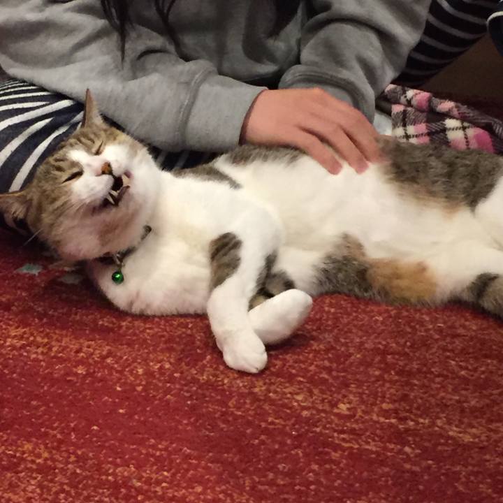 Fb116035 2e66 4f65 9fe0 0c33afd3e788 1515076982566