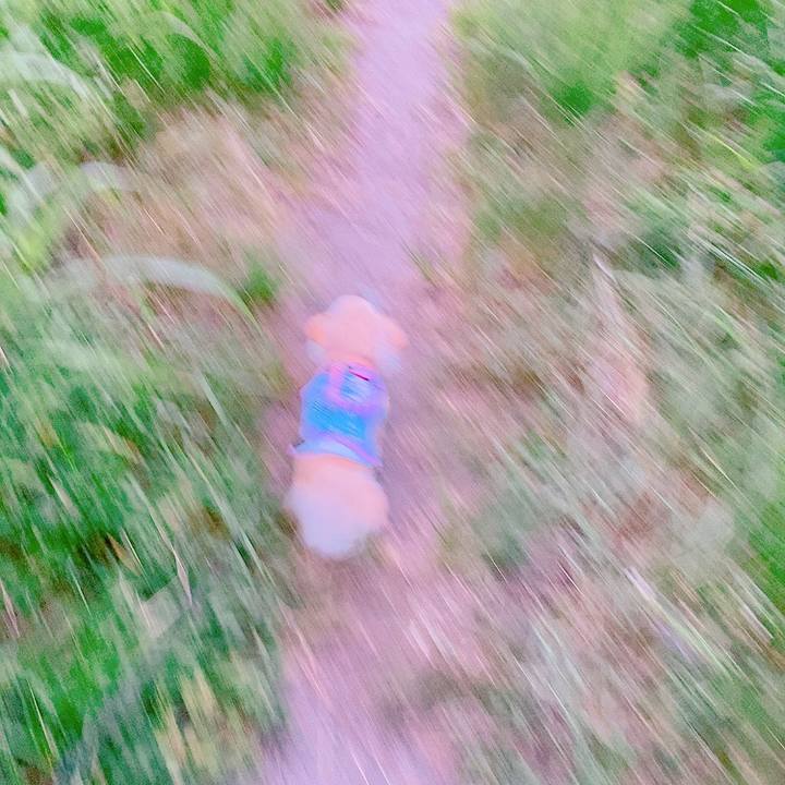 Fb116f08 837d 4991 b242 71f598c94ee0 1627296362509