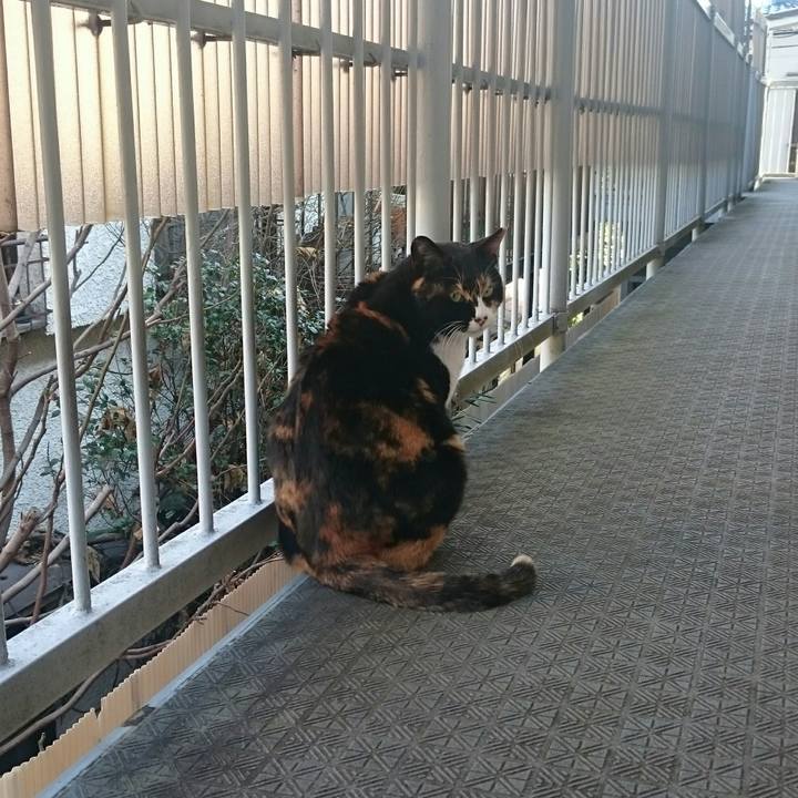 Fb117e12 58fe 45a5 97d4 0bdd5630048a 1517716425482