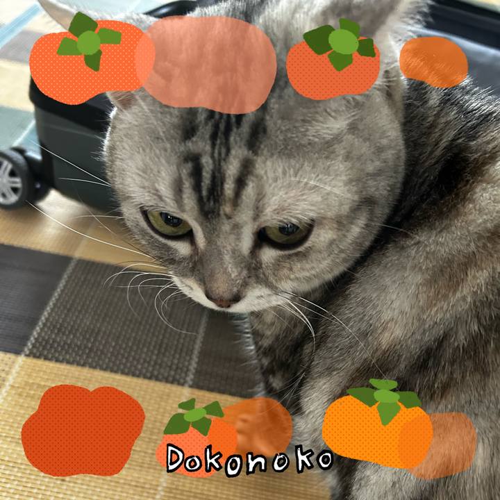 Fb1194d5 8916 49c3 b17e bb7683cb43ff 1761690001124