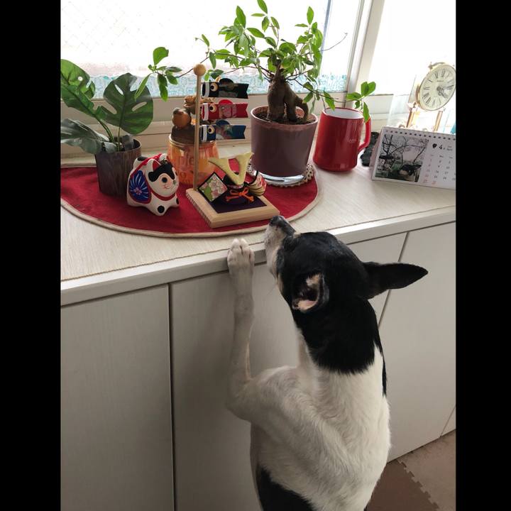 Fb11d849 a1f2 41fd 9bc2 22ead461a3bb 1525184837077