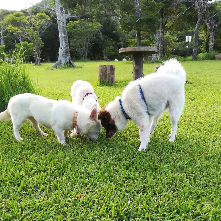 Fb11e57d b16f 4774 a98b 473f5e3f63c2 1531791949357