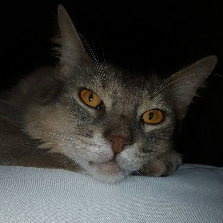 Fb128ce5 483b 43dc b1d8 7344bd1c0958 1537448182741