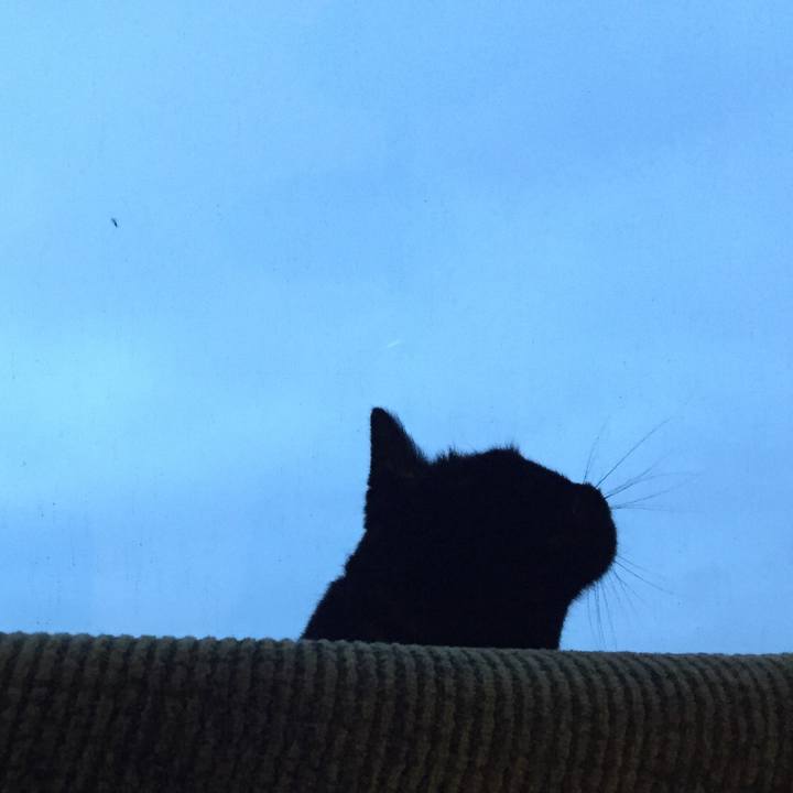 Fb129e65 1047 4514 8593 1266ed49ef2a 1530871396973