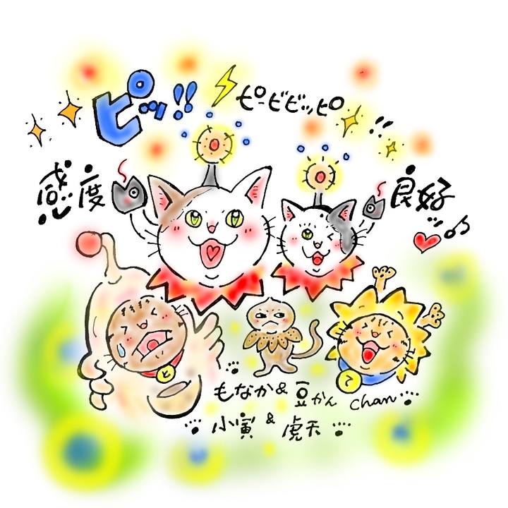 Fb12dd55 0372 46e7 84a6 c3dc4b1843d7 1568494502399