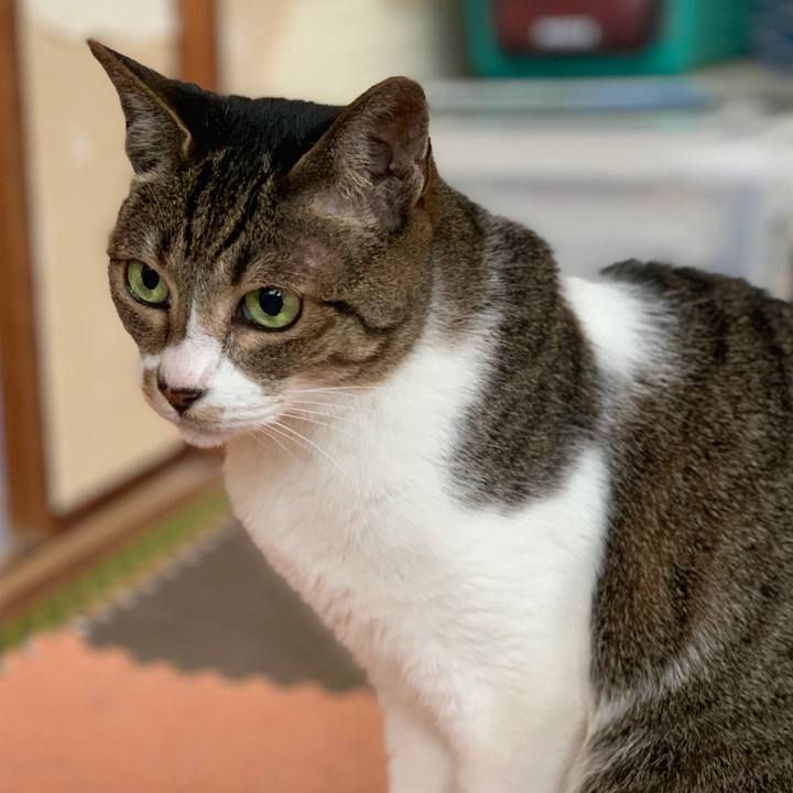 Fb12def2 57c6 48c5 b4d1 9e2880f300ad 1562286905348