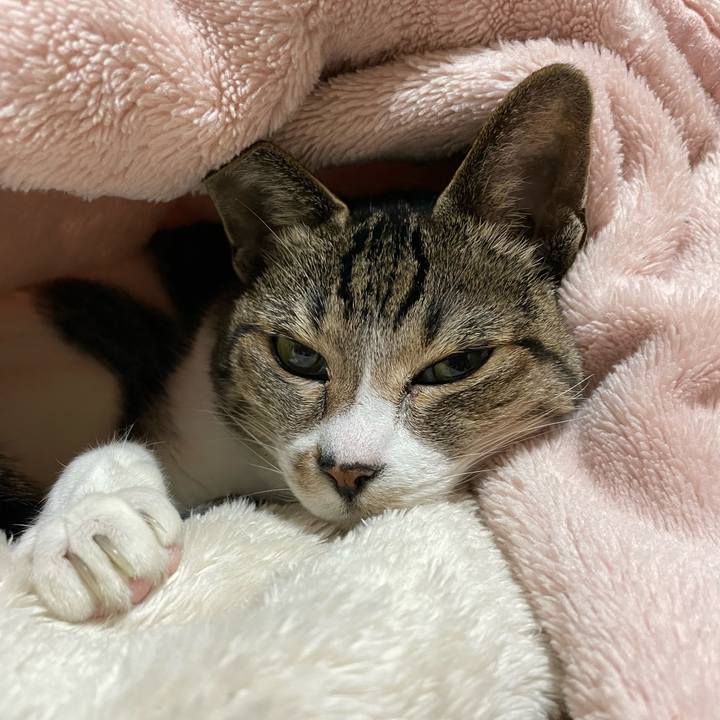 Fb12edb6 24f0 4f0e b21c 17e574f7ca8b 1640312158507