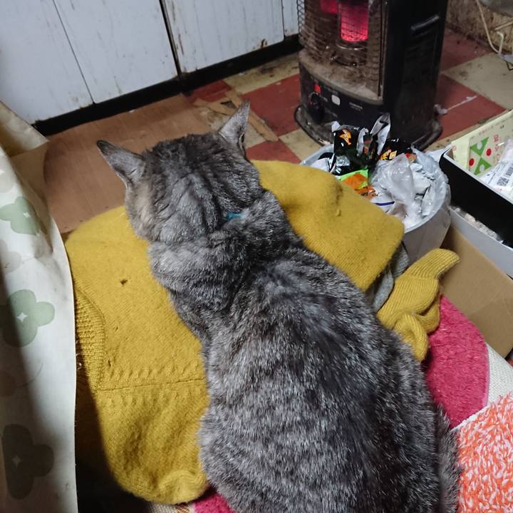 Fb1343eb 19dc 4bfb bea2 ba993b09326d 1573121573980