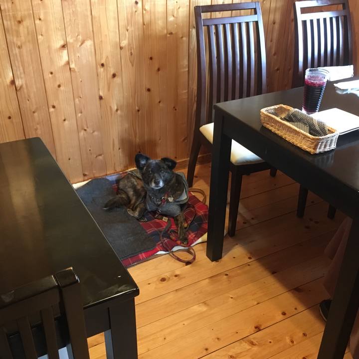 Fb135eb6 d265 427f 9dc5 423fc0a41e00 1550758496459