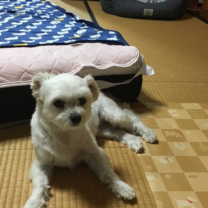 Fb139bdf fc8b 4289 8064 448e70c7e8ee 1535886322435