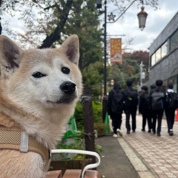 Fb13a78c dd8a 4b86 bc87 53d75920ddc8 1762645846478