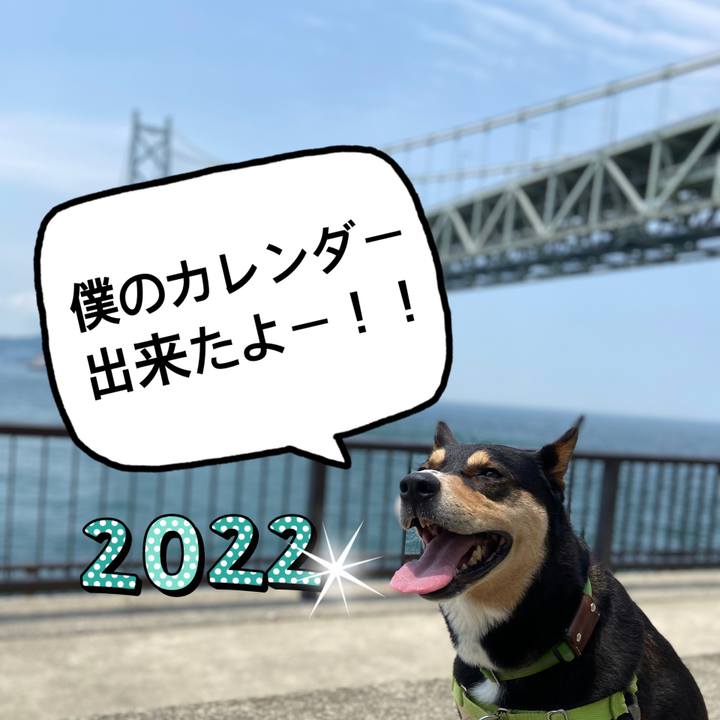 Fb13d94e fe6e 449b b85e bd272cf1bf63 1636683106222