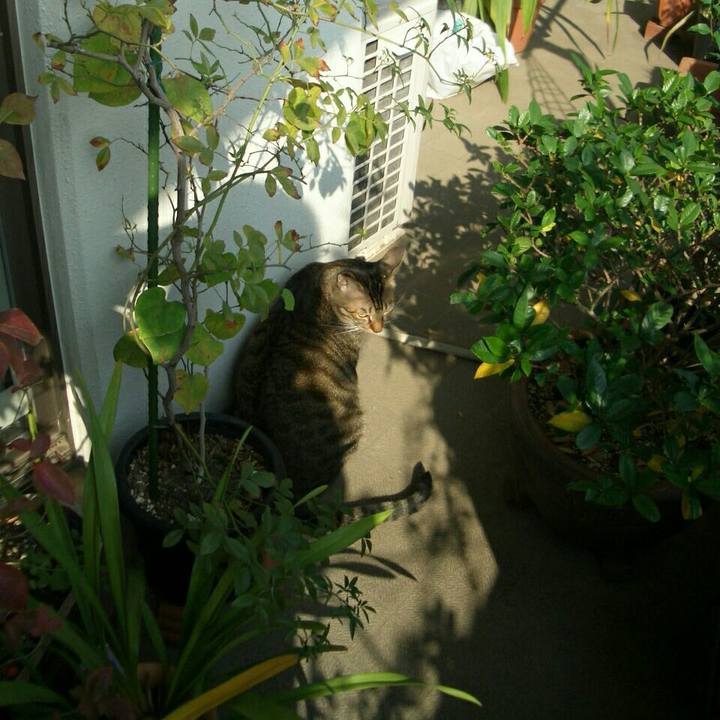 Fb13f6ca 92d2 4989 a8a6 633d11d64466 1509177249078