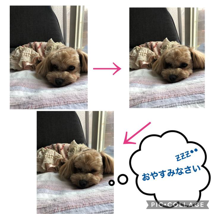 Fb140449 19d2 4b20 abd7 07d571dff07a 1618104634850