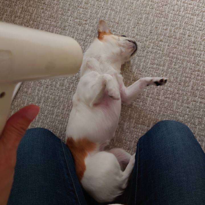 Fb1409a1 2036 4640 a197 2b50389e6d58 1688895548963