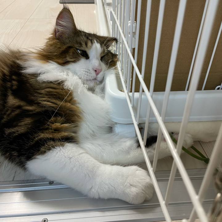 Fb143762 613a 4bf4 bb30 19e8bc7cd316 1647001816928