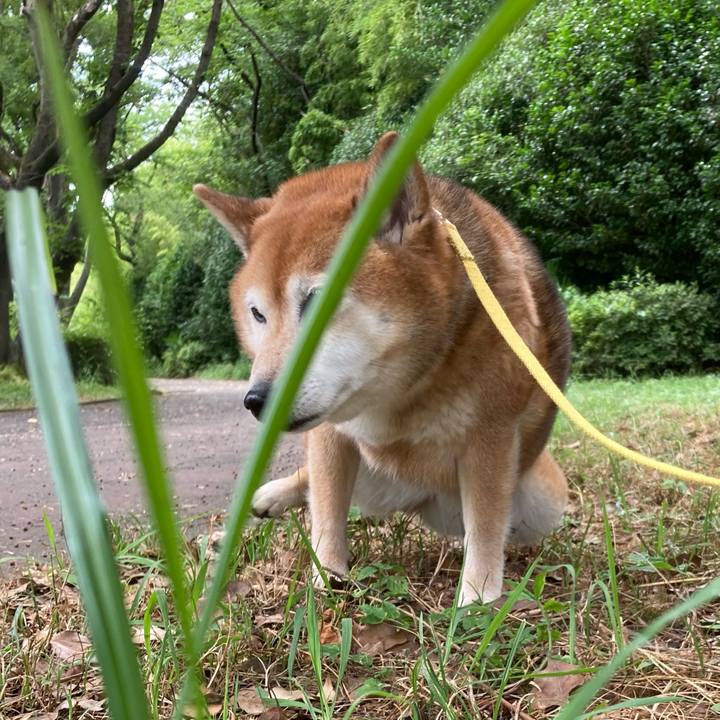 Fb1441e1 aaa0 49e9 ba0f 0dda5f41a36e 1657254587492