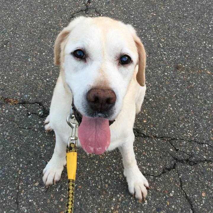 Fb1468ca 7d50 4831 8c2a b484c2a389d4 1595629561537