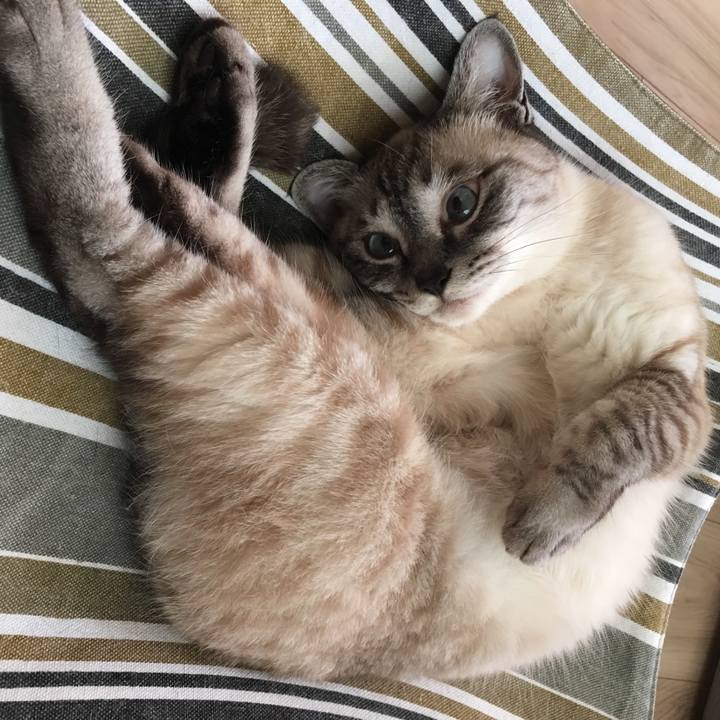 Fb1489f4 c6d9 40d8 aa03 89cfdb0d7a77 1591607078573