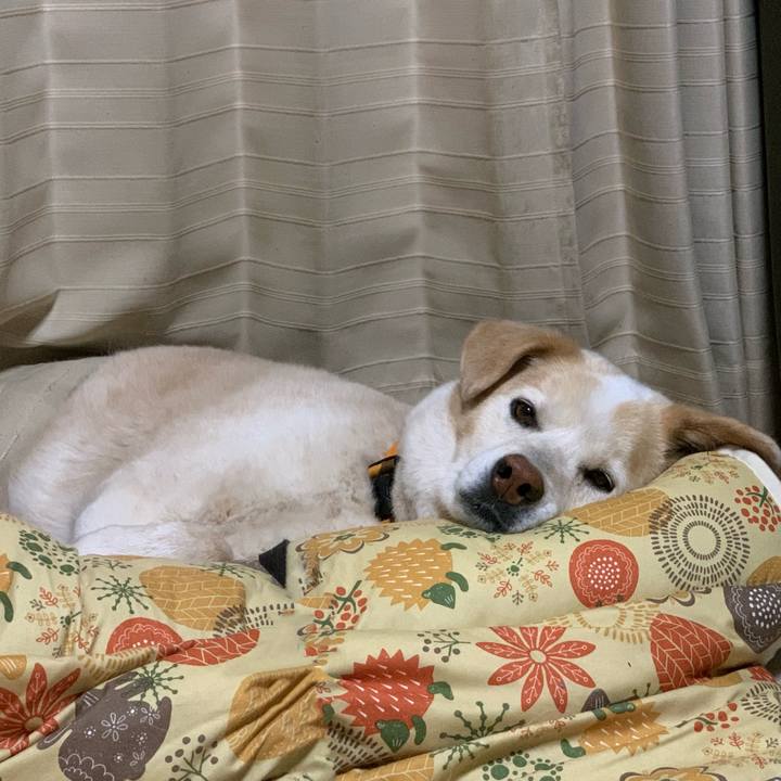 Fb14c14d e134 4851 b569 21e969cda7b6 1649849463296