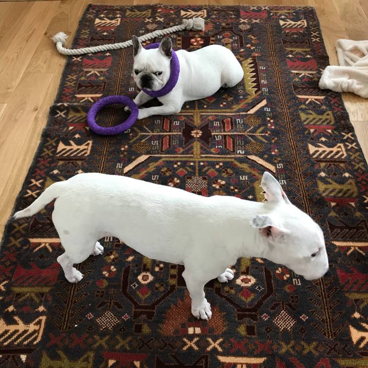 Fb14d694 d0f0 473c bf81 1225c15083c5 1579674311668