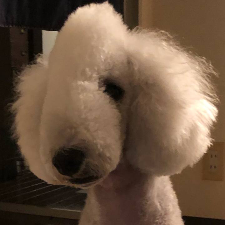 Fb14f2e0 6ca4 439e a31a 115b63720038 1603619238118