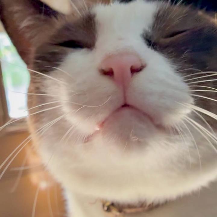 Fb14f3be 999a 4612 bb6a 3619cf1d6945 1757039936875