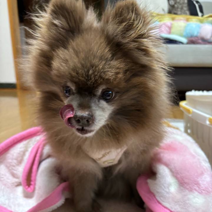 Fb14f80b 1195 4237 98ae 92fa00e3725c 1768881639311