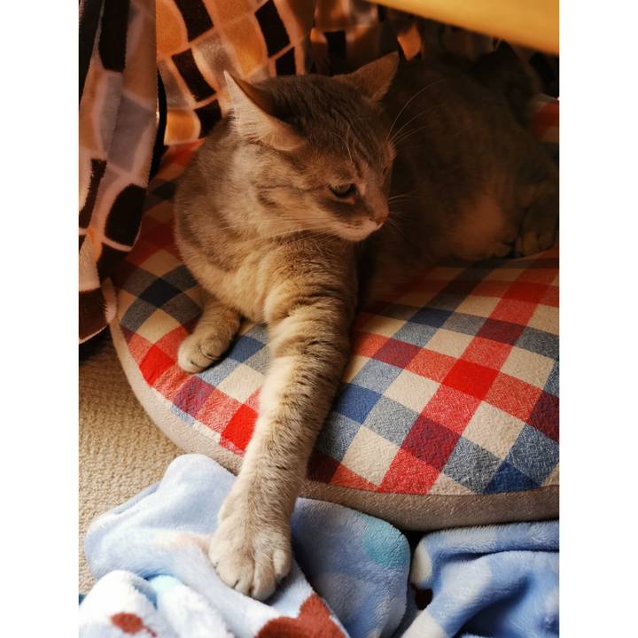 Fb15209f 5f3f 4572 a5d5 b20bb84dc463 1683431535963