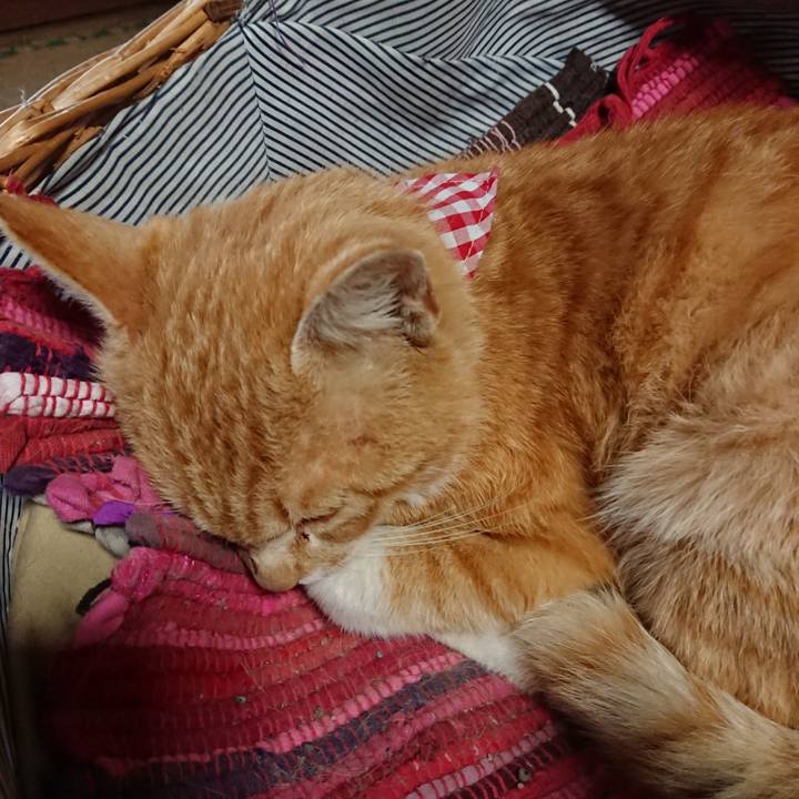 Fb156fdb 8ee1 44a6 a97f 0ad8184b1942 1558299047211